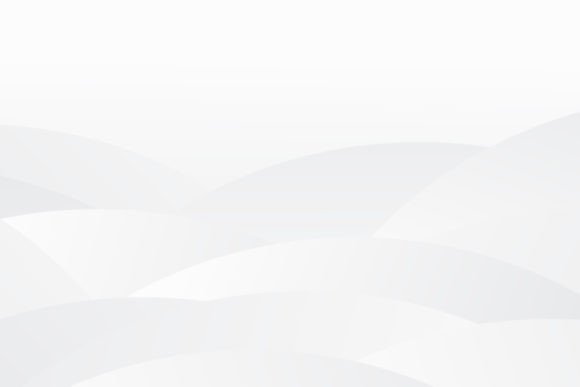 Download White Elegant Texture Background Design - Texture Collection